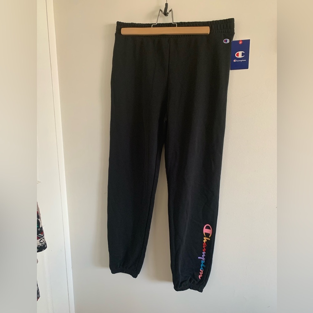 Champion Sweatpants L (14)